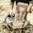 EBERLESTOCK UPRANGER PACK DRY EARTH