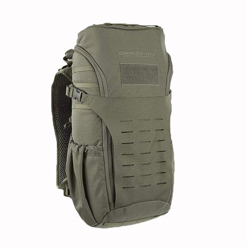 Eberlestock H31 Bandit Pack offers 935 cubic inches of storage, laser-cut MOLLE panel for accessories, and compatibility with 2L/3L hydration bladders.