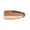 🎯 Lov na škůdce? VARMINTER 22 Caliber Soft Point Bullets od SIERRA BULLETS nabízí přesnost a vysokou rychlost pro dokonalý zásah. Získejte je teď! 🦊🔫