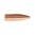 🔫 VARMINTER 22 Caliber Hollow Point Bullets od SIERRA BULLETS - přesnost a vysoká rychlost pro lov drobné zvěře. 60GR, 100/box. Naučte se více! 🦊🎯