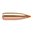 Střely Nosler Ballistic Tip Varmint 22 Caliber (0.224") 55GR Spitzer kombinují přesnost a výkonnost. Ideální pro soutěžní střelbu i lov. 📦💥 Naučte se více!