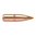 🔫 Nosler Ballistic Tip Varmint 22 Caliber (0.224") Spitzer Bullets - 60GR pro přesnost a výkon. Ideální pro soutěžní i loveckou střelbu. 📦 100/box. Naučte se více!