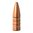 💥 TRIPLE-SHOCK X 22 Caliber Bullets od Barnes Bullets - bezolovnaté, 100% měď, extrémní průnik a přesnost. Ideální pro lov. Zjistěte více! 🦌🔫