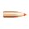 🔫 Střely Nosler Ballistic Tip Varmint 22 Caliber (0.224") 50GR Spitzer pro přesnost a výkon. Ideální pro soutěžní střelbu i lov. 🌟 Zjistěte více!