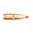 🎯 Nosler Ballistic Tip Varmint 22 Caliber (0.224") Spitzer Bullets pro přesnost a výkon. Ideální pro soutěžní střelbu i lov. 📦 250/box. Zjistěte více!