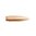 NOSLER 30 CALIBER (0.308") 175GR HOLLOW POINT BOAT TAIL 250/BOX