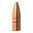 🔫 Objevte přesnost a průraznost bezolovnatých střel TRIPLE-SHOCK X 22 Caliber od Barnes Bullets. Ideální pro lov. Zjistěte více a získejte je nyní! 🦌