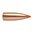 Nosler Ballistic Tip Lead-Free™ 22 Caliber střely jsou ideální pro lov škodné a predátorů. Nabízí rychlou expanzi a vysokou přesnost. 🌟 Objednejte nyní! 🛒